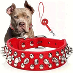 Dog Spiked Collar