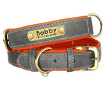 Double Layer Dog Collar