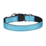 Reflective Dog Collar