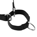 Nylon Dog Collar Reflective