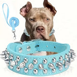 Dog Spiked Collar