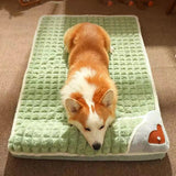 Bed Mat for Dogs