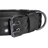 Nylon Dog Collar