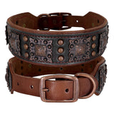 Leather Spiked Dog Collar