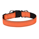 Reflective Dog Collar