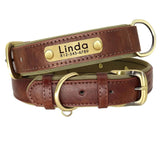 Double Layer Dog Collar