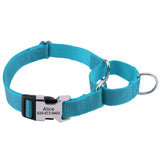 Nylon Dog Collar Reflective