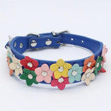 Flower Dog Collar