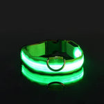 Led Dog Collar