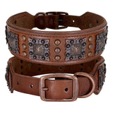 Leather Spiked Dog Collar