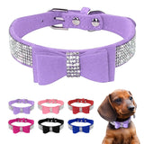 Bowknot Dog Collar