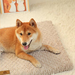 Memory Foam Dog Mat