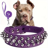 Dog Spiked Collar