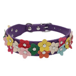 Flower Dog Collar