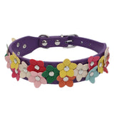 Flower Dog Collar