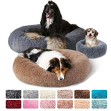 Round Dog Mat