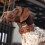 Leather Spiked Dog Collar