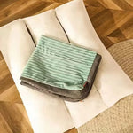 Big Winter Dog Mat