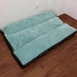 Big Winter Dog Mat