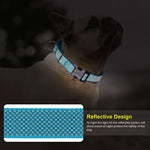 Nylon Dog Collar Reflective
