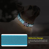 Nylon Dog Collar Reflective