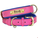 Double Layer Dog Collar