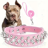 Dog Spiked Collar