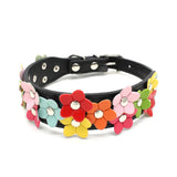 Flower Dog Collar