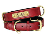 Double Layer Dog Collar