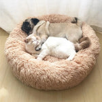 Round Dog Mat